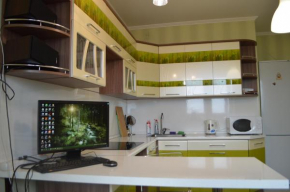 Nice Apartments on Evstafyeva 1 Balashikha